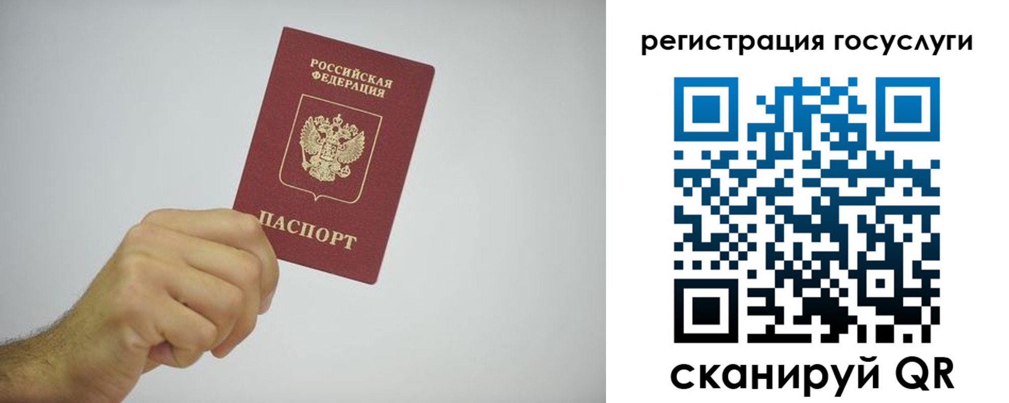 временная регистрация гарантия в Елизово